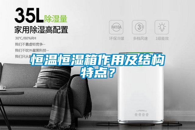 恒温恒湿箱作用及结构特点？