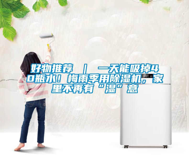 好物推荐 ｜ 一天能吸掉40瓶水！梅雨季用除湿机，家里不再有“湿”意