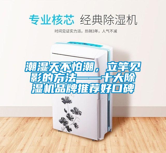 潮湿天不怕潮，立竿见影的方法——十大除湿机品牌推荐好口碑