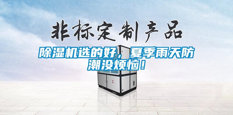 除湿机选的好，夏季雨天防潮没烦恼！