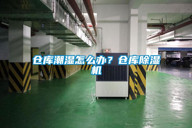仓库潮湿怎么办？仓库除湿机