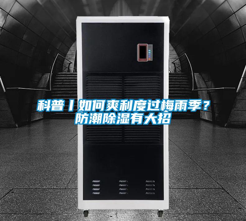 科普丨如何爽利度过梅雨季？防潮除湿有大招