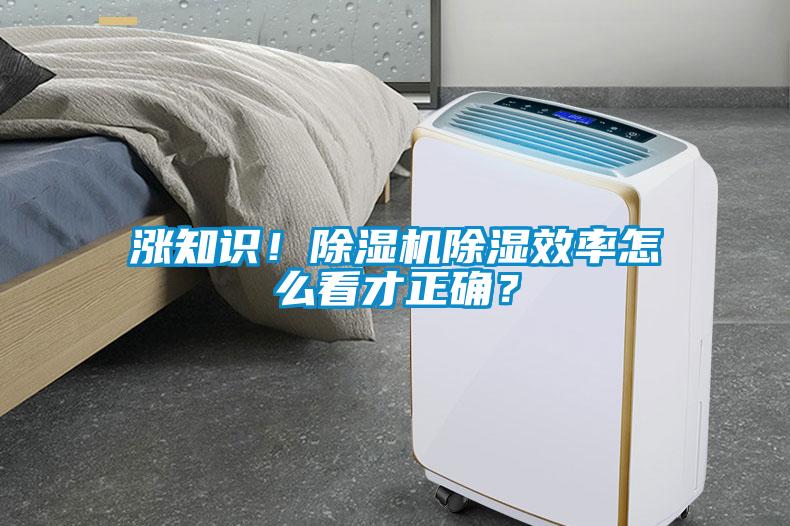 涨知识！除湿机除湿效率怎么看才正确？