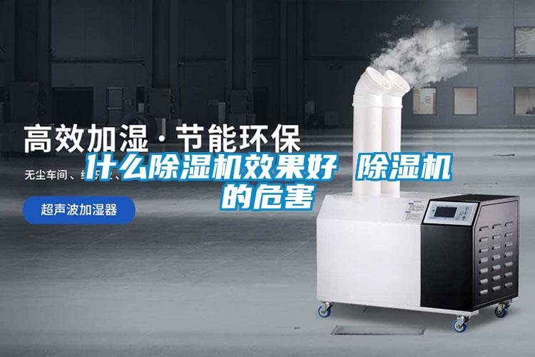 什么除湿机效果好 除湿机的危害