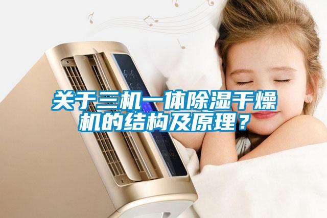 关于三机一体除湿干燥机的结构及原理？