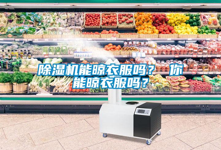除湿机能晾衣服吗？ 你能晾衣服吗？