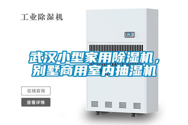 武汉小型家用除湿机，别墅商用室内抽湿机