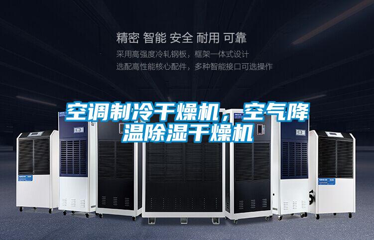 空调制冷干燥机，空气降温除湿干燥机