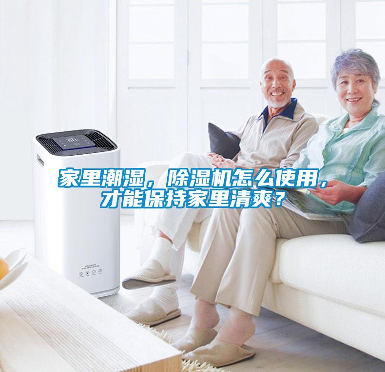 家里潮湿，除湿机怎么使用，才能保持家里清爽？