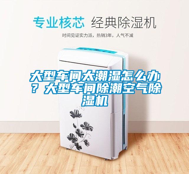 大型车间太潮湿怎么办？大型车间除潮空气除湿机