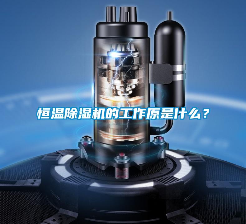 恒温除湿机的工作原是什么？