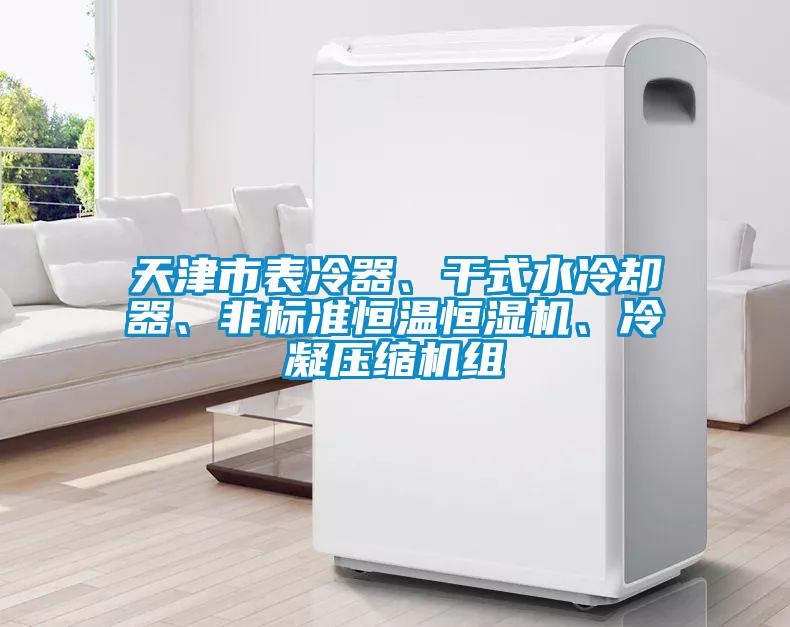 天津市表冷器、干式水冷却器、非标准恒温恒湿机、冷凝压缩机组