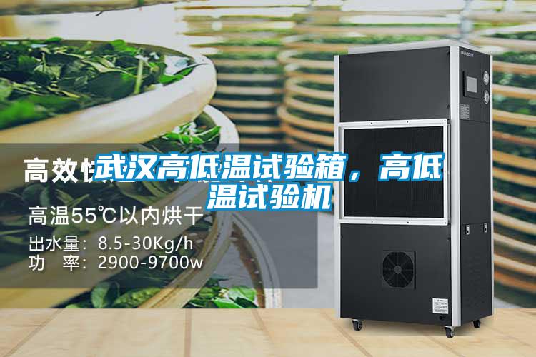 武汉高低温试验箱，高低温试验机
