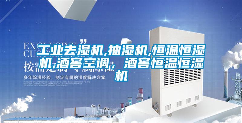 工业去湿机,抽湿机,恒温恒湿机,酒窖空调，酒窖恒温恒湿机