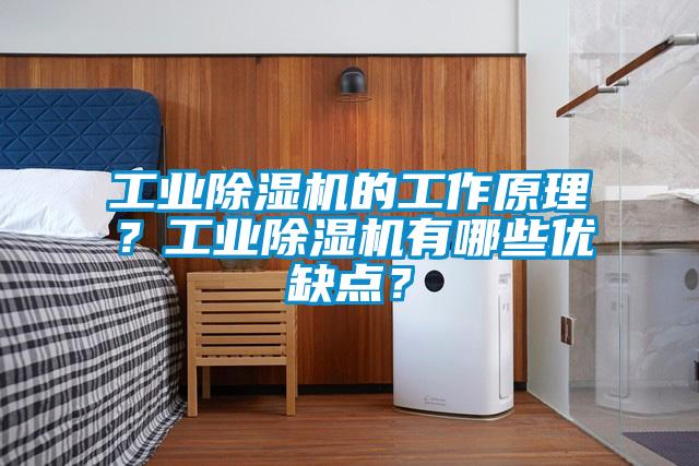 工业除湿机的工作原理？工业除湿机有哪些优缺点？