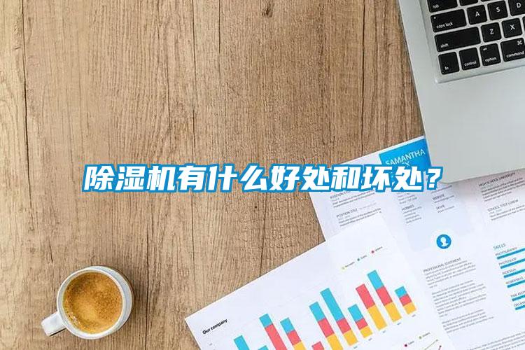 除湿机有什么好处和坏处？