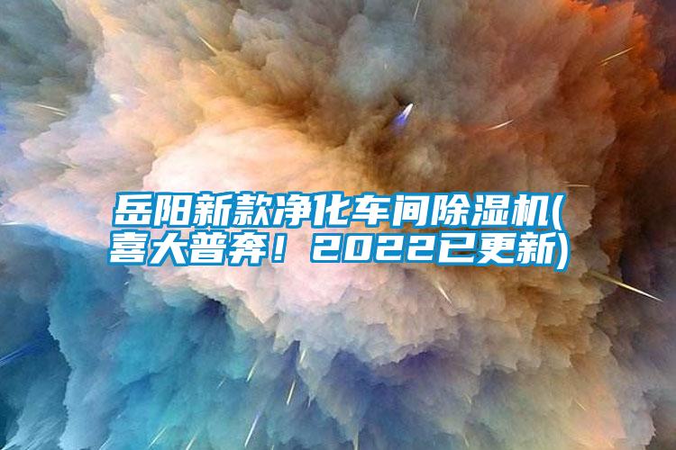 岳阳新款净化车间除湿机(喜大普奔！2022已更新)