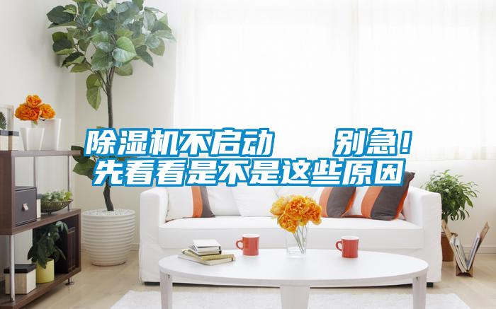 除湿机不启动   别急！先看看是不是这些原因