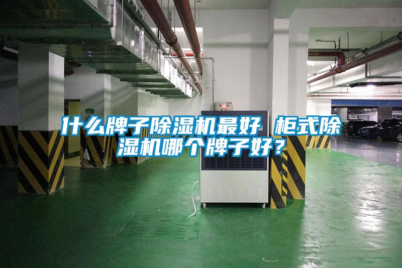 什么牌子除湿机最好 柜式除湿机哪个牌子好？