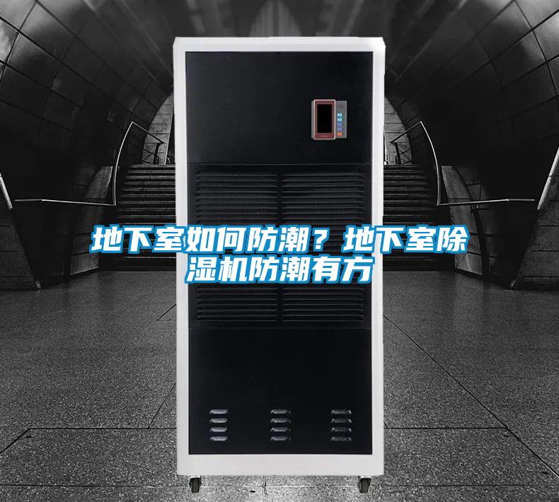 地下室如何防潮？地下室除湿机防潮有方