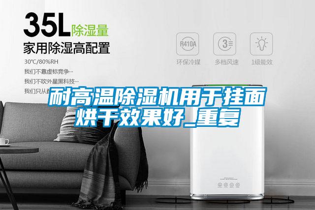 耐高温除湿机用于挂面烘干效果好_重复