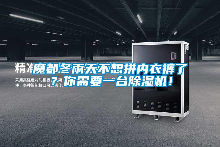 魔都冬雨天不想拼内衣裤了？你需要一台除湿机！