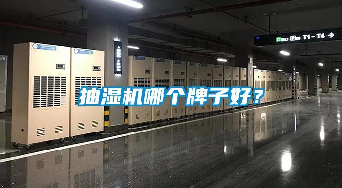抽濕機哪個牌子好？