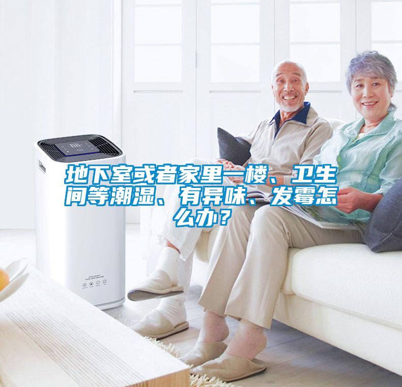 地下室或者家里一楼、卫生间等潮湿、有异味、发霉怎么办？