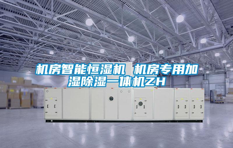 机房智能恒湿机 机房专用加湿除湿一体机ZH