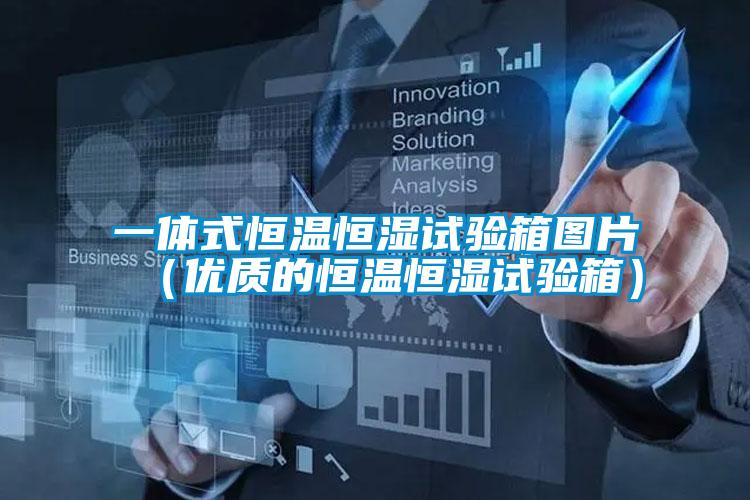 一体式恒温恒湿试验箱图片（优质的恒温恒湿试验箱）
