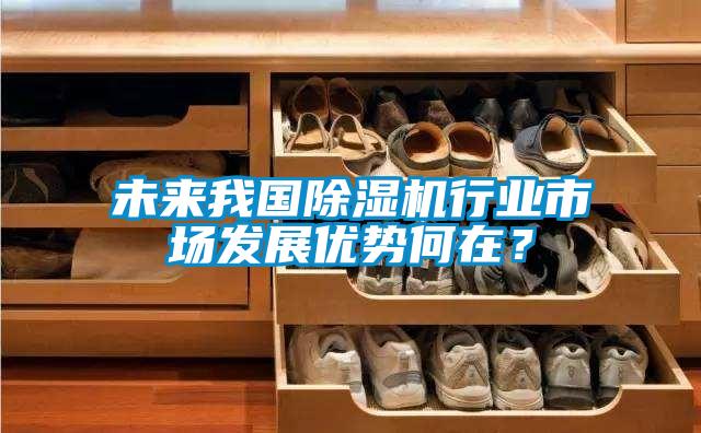 未来我国除湿机行业市场发展优势何在？