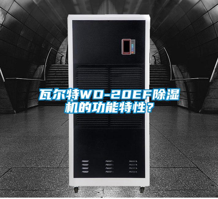 瓦爾特WD-20EF除濕機(jī)的功能特性？