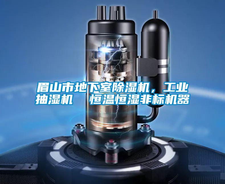 眉山市地下室除湿机，工业抽湿机  恒温恒湿非标机器