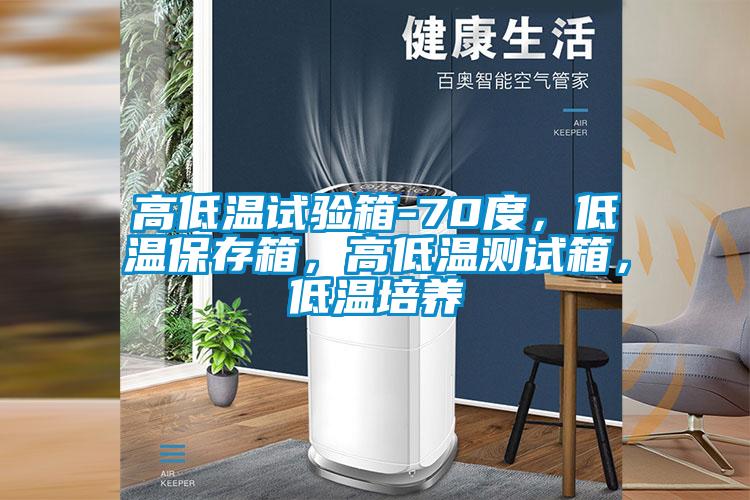 高低温试验箱-70度，低温保存箱，高低温测试箱，低温培养