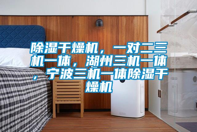 除濕干燥機(jī)，一對二三機(jī)一體，湖州三機(jī)一體，寧波三機(jī)一體除濕干燥機(jī)