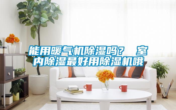 能用暖气机除湿吗？ 室内除湿最好用除湿机哦