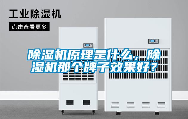 除湿机原理是什么，除湿机那个牌子效果好？