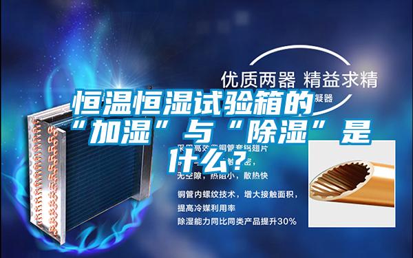 恒温恒湿试验箱的“加湿”与“除湿”是什么？