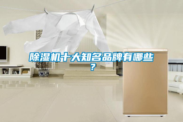 除湿机十大知名品牌有哪些？