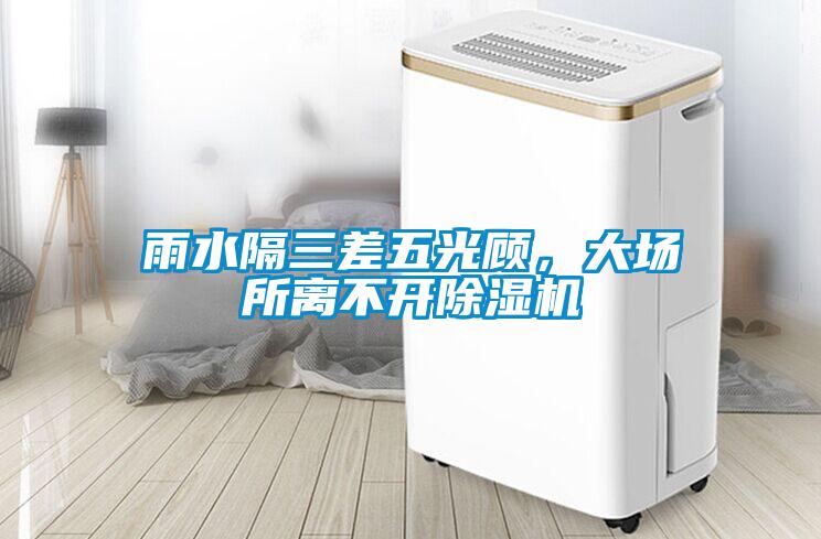 雨水隔三差五光顾，大场所离不开除湿机