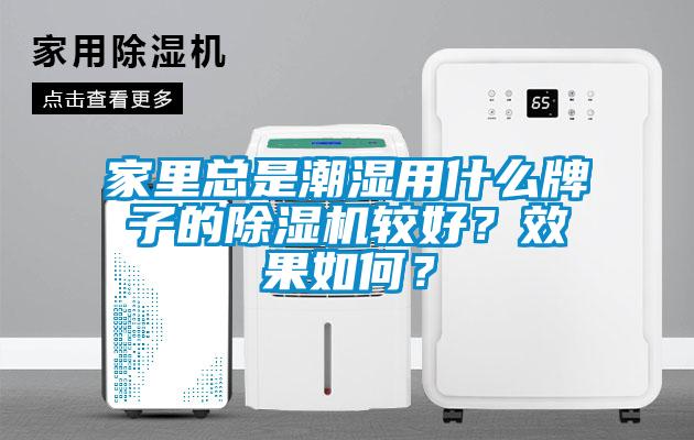 家里總是潮濕用什么牌子的除濕機較好？效果如何？