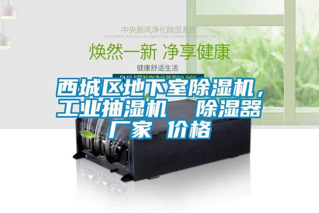 西城区地下室除湿机，工业抽湿机  除湿器厂家 价格