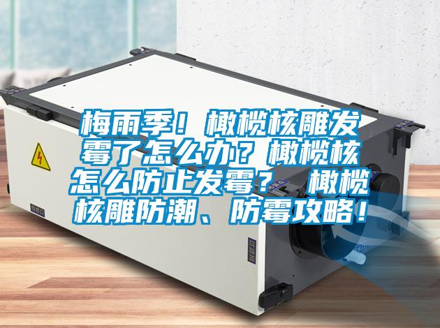 梅雨季！橄榄核雕发霉了怎么办？橄榄核怎么防止发霉？ 橄榄核雕防潮、防霉攻略！