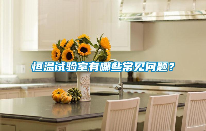恒温试验室有哪些常见问题？