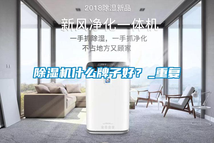 除湿机什么牌子好？_重复