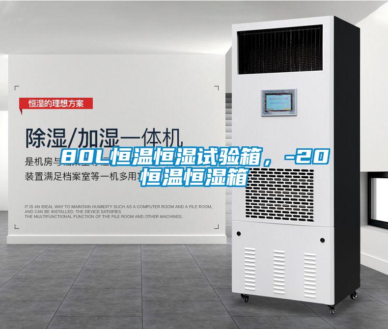 80L恒温恒湿试验箱，-20℃恒温恒湿箱