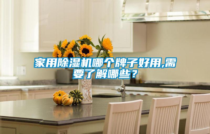 家用除湿机哪个牌子好用,需要了解哪些？