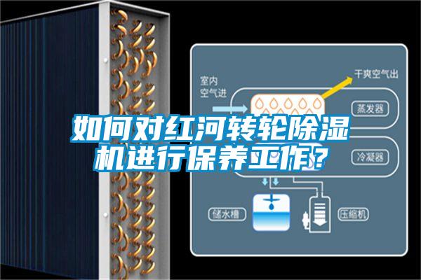 如何对红河转轮除湿机进行保养工作？
