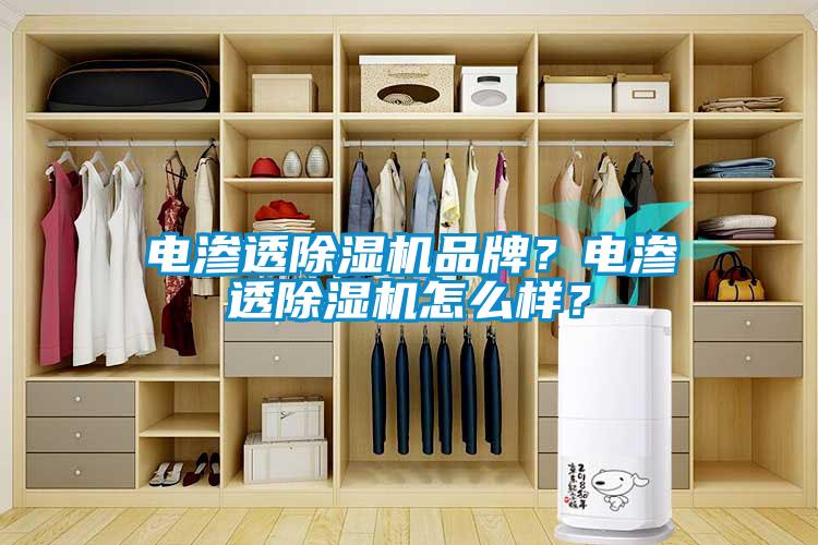 电渗透除湿机品牌？电渗透除湿机怎么样？