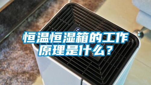 恒温恒湿箱的工作原理是什么？